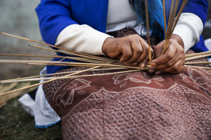 bardoek